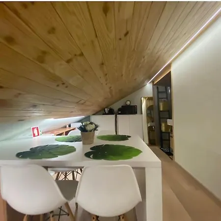 Loft Zoe Oasis - Centro *