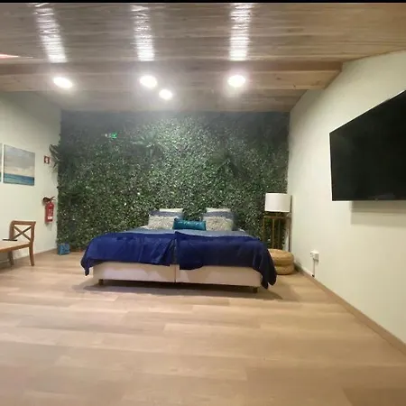 아파트 Loft Zoe Oasis - Centro *